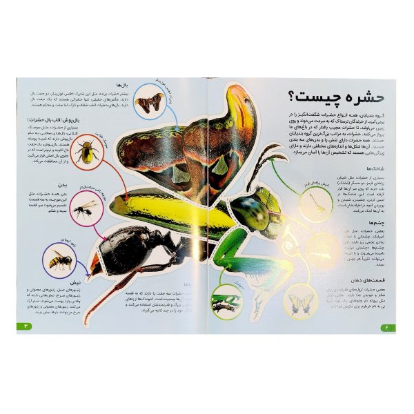 کتاب دانستنی های شگفت انگیزی حشرات - آندریا میلز - آرین رمضانی - اطلاعات عمومی - اعتلای وطن - Image 2