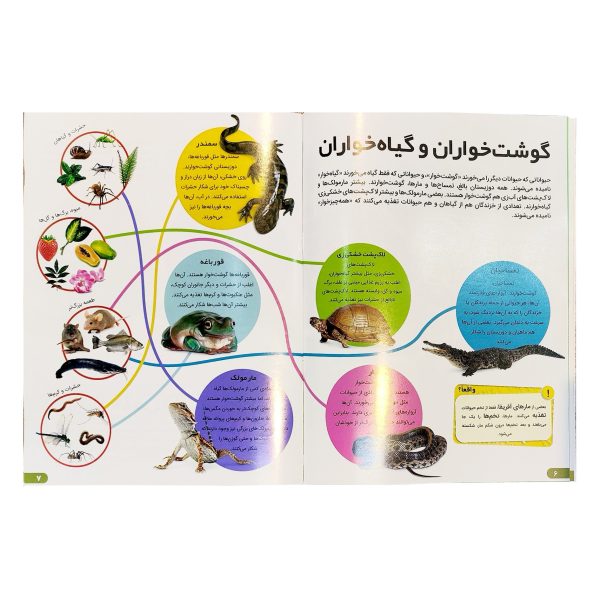 کتاب دانستنی های شگفت انگیزی خزندگان و دوزیستان - کریس ماتیسون - آرین رمضانی - اطلاعات عمومی - اعتلای وطن - Image 3