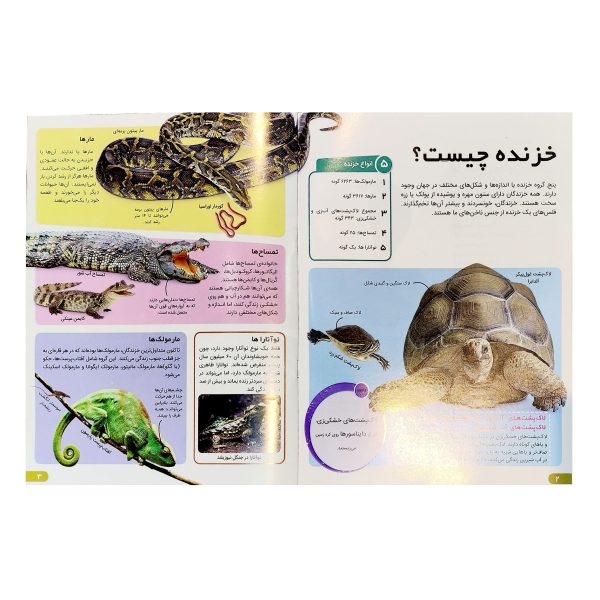 کتاب دانستنی های شگفت انگیزی خزندگان و دوزیستان - کریس ماتیسون - آرین رمضانی - اطلاعات عمومی - اعتلای وطن - Image 2