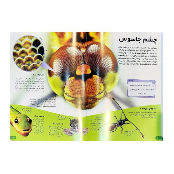 کتاب دانستنی های شگفت انگیزی حشرات - آندریا میلز - آرین رمضانی - اطلاعات عمومی - اعتلای وطن - Image 3