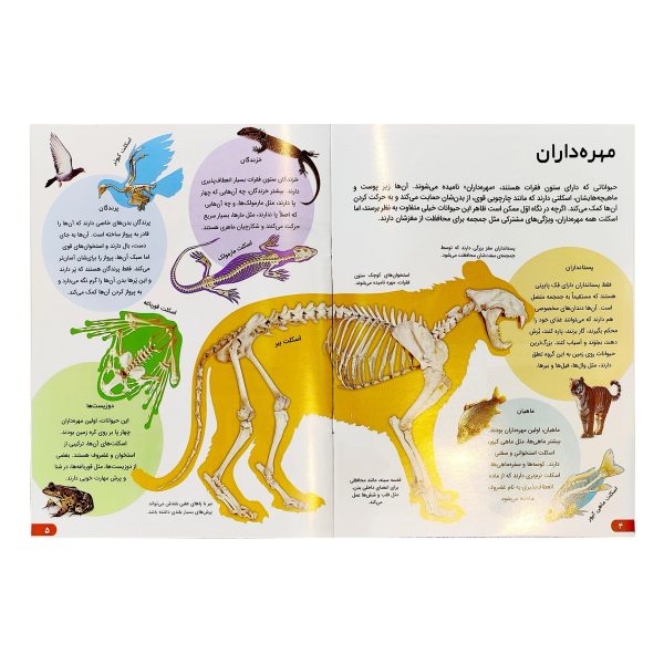 کتاب دانستنی های شگفت انگیزی حیوانات - آندریا میلز - زهره آرامش - اطلاعات عمومی- سلاطین پارسی - Image 2