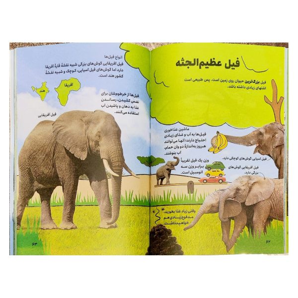 کتاب دانشنامه تصویری حیوانات - دورلینگ کیندرزلی - معصومه گلشنی - کودک یار - یوشیتا - Image 2