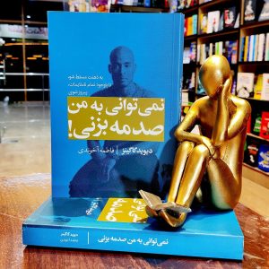 کتاب نمی توانی به من صدمه بزنی - دیوید گاگینز - فاطمه آخوندی - نشر مجله - آراستگان