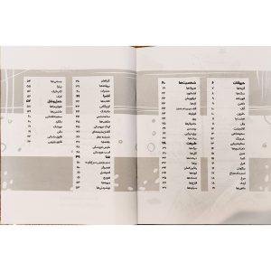 کتاب چطور هر چیز را در کمتر از 5 دقیقه نقاشی کنیم - نشر کودک یار - Image 4